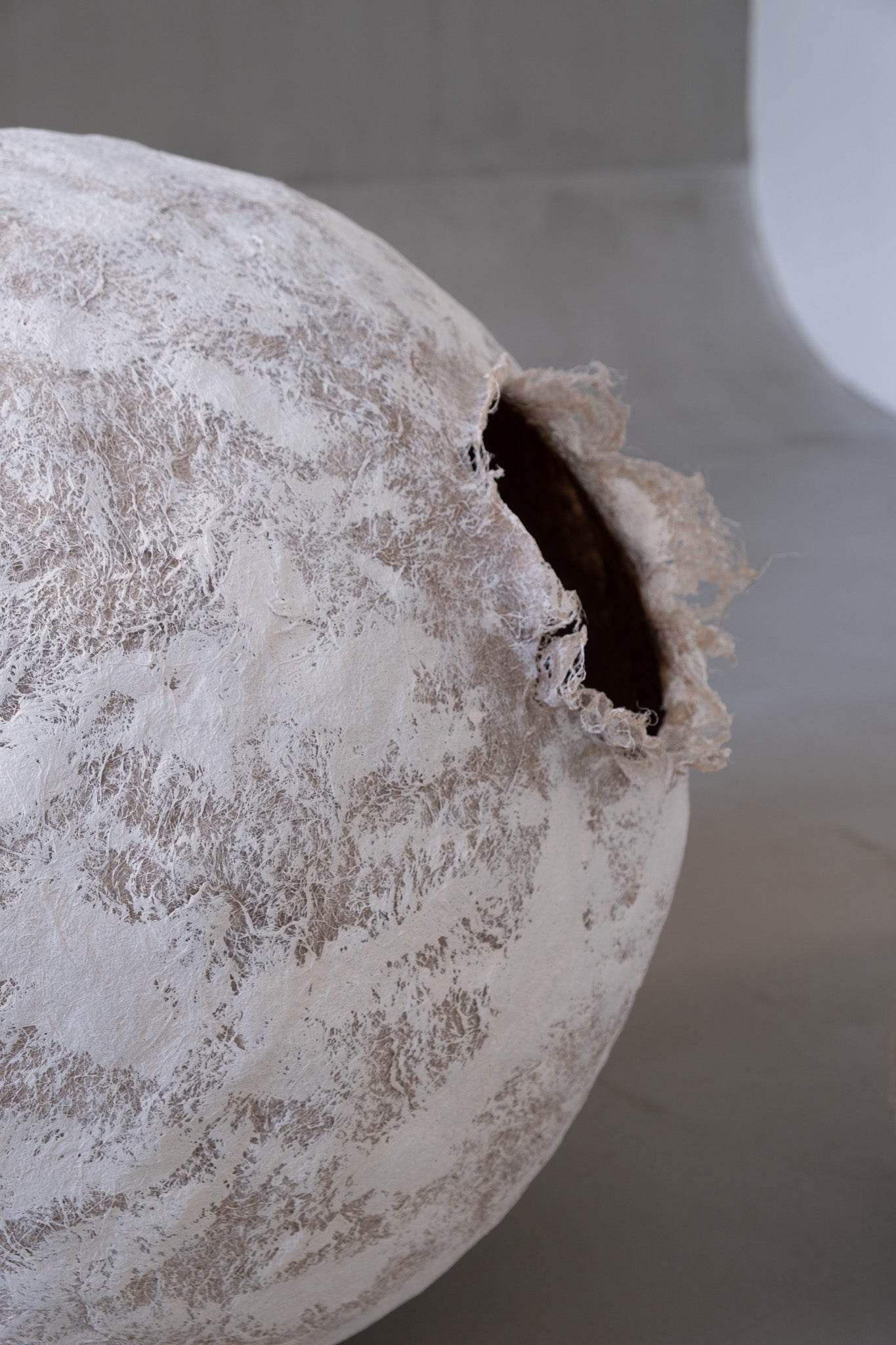 Organic Modern: How Natural Materials Shape Contemporary Design