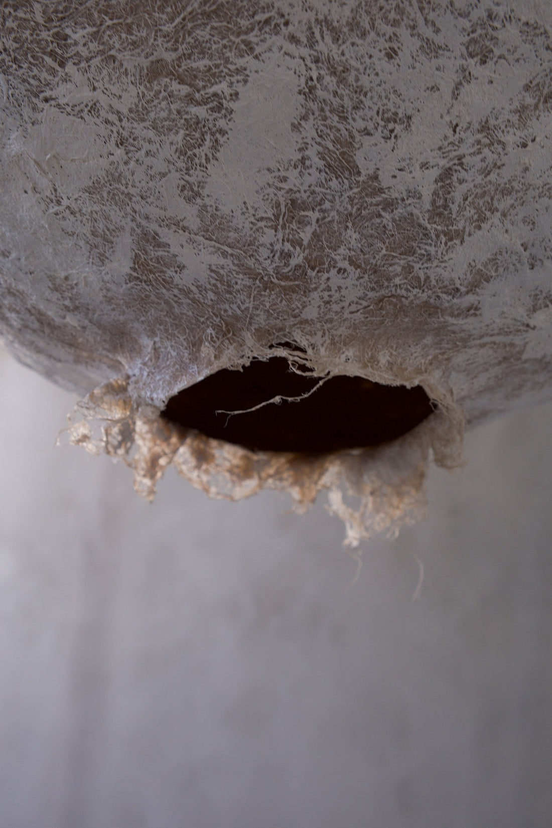 Homes That Feel Alive: How Objects Carry Soul