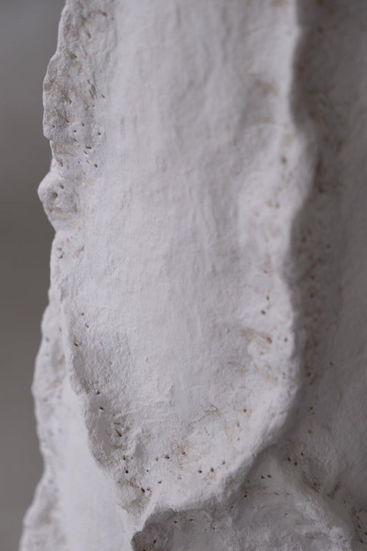 The Soul of Our Design: Pleto Biocomposite™ — A New Language of Natural Materiality