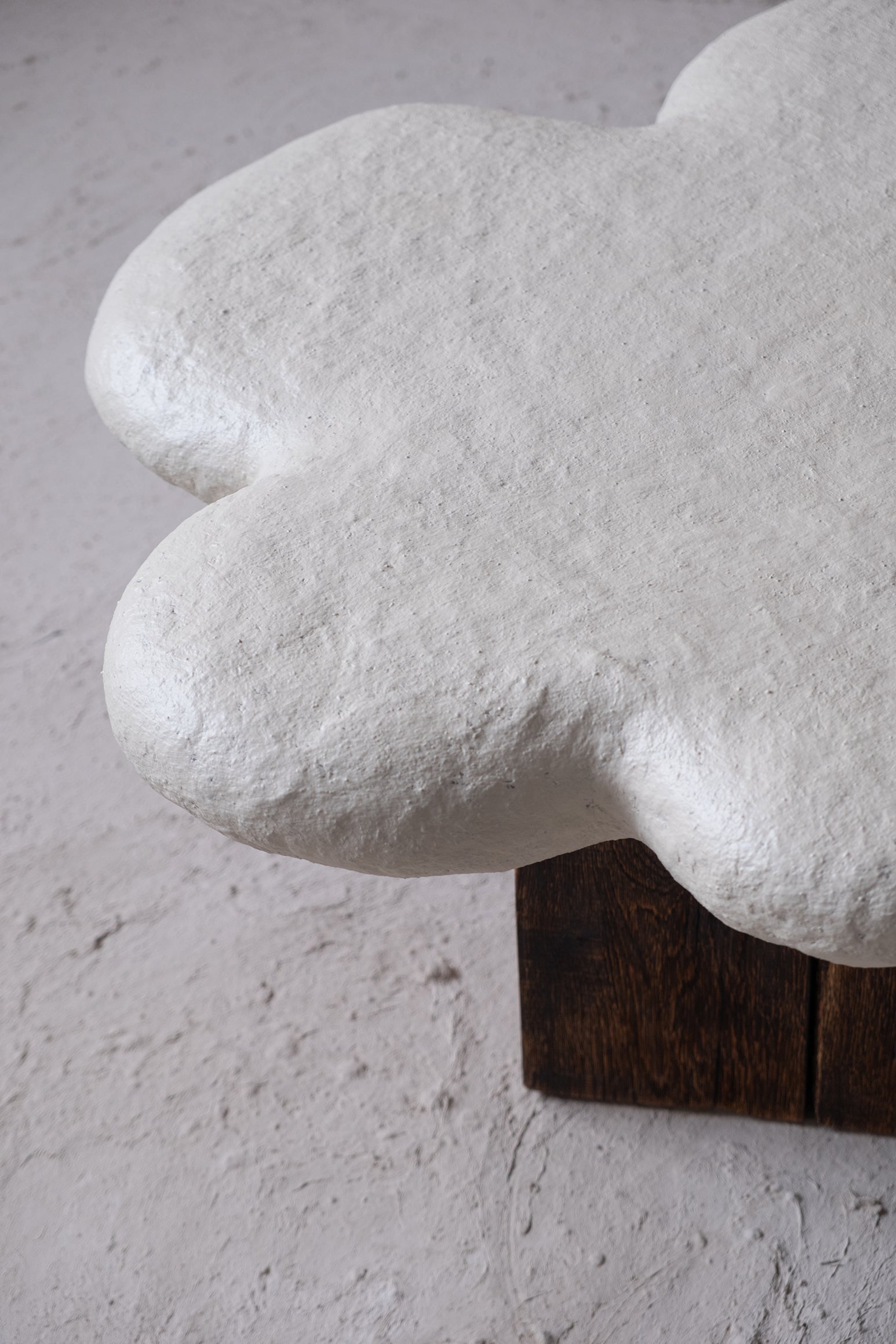 The Rise of Organic Modernism in Contemporary Homes