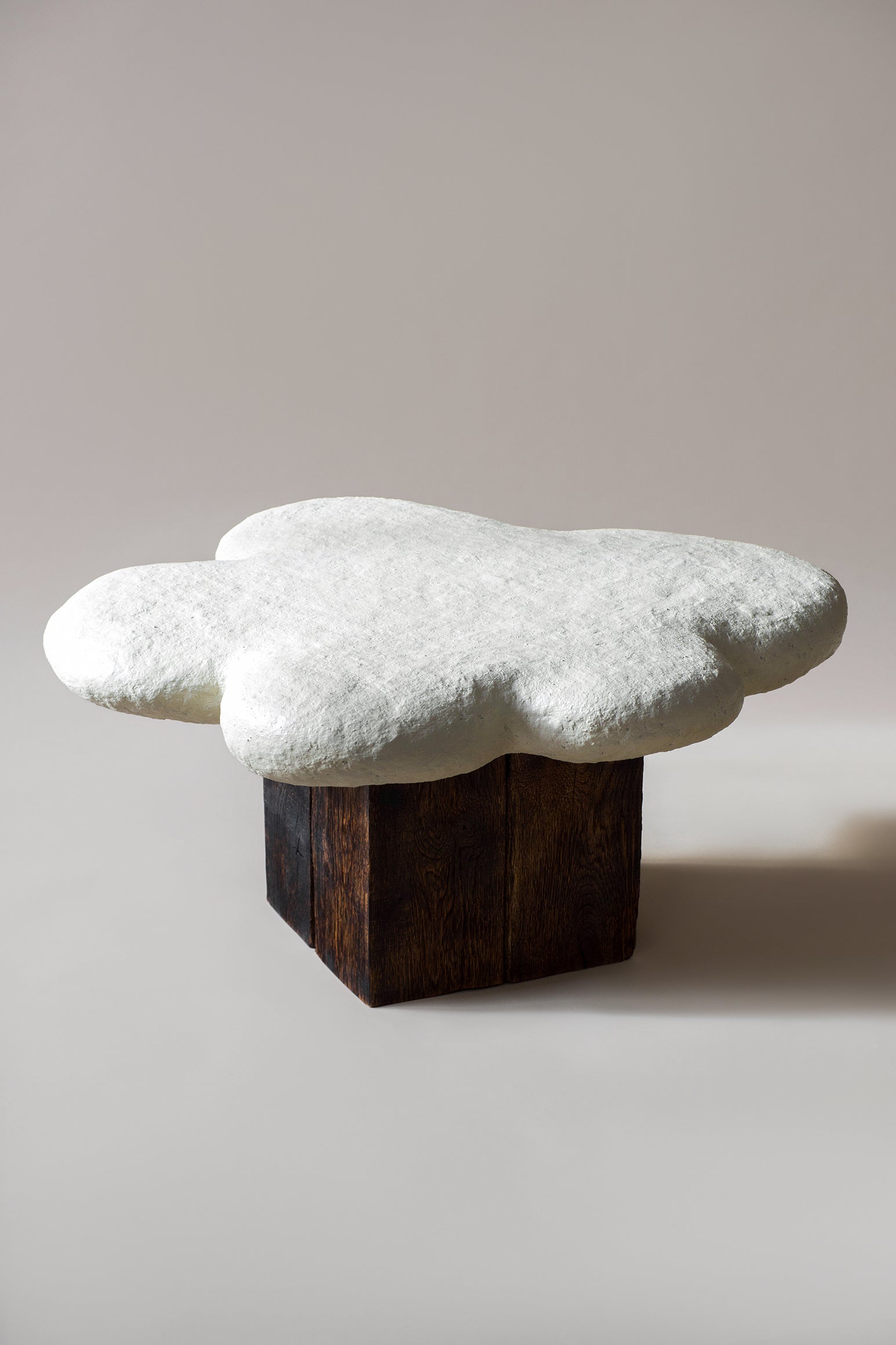 Neba Sculptural Coffee Table