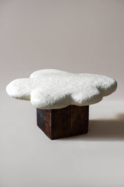 Neba Sculptural Coffee Table